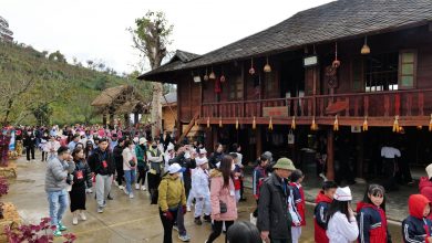 10 năm hành trình làm đẹp vùng đất Sa Pa