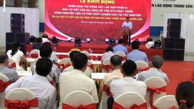 Xây dựng vùng nguyên liệu trọng điểm về cà phê ở Tây Nguyên Xây dựng vùng nguyên liệu trọng điểm về cà phê ở Tây Nguyên