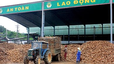 Doanh nghiệp lấy người lao động làm trọng tâm phát triển Doanh nghiệp lấy người lao động làm trọng tâm phát triển