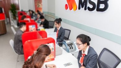 MSB xác nhận: "Không loại trừ khả năng nhận sáp nhập thêm ngân hàng, có thể là PG Bank"