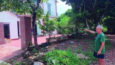 Tránh bẫy “hợp đồng giả cách”