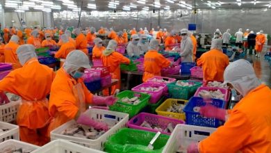 ANV dự kiến phát hành 1.331 tỷ đồng cổ phiếu tăng vốn cổ phần ANV dự kiến phát hành 1.331 tỷ đồng cổ phiếu tăng vốn cổ phần