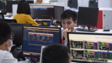 Cổ phiếu VND có còn dư địa tăng trưởng?