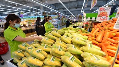 Nên mở rộng đối tượng và kéo dài thời gian thực hiện chính sách giảm thuế VAT