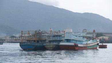 Kỳ vọng sớm gỡ “thẻ vàng” IUU Kỳ vọng sớm gỡ “thẻ vàng” IUU