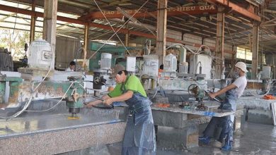 Tăng cường thanh tra, xử lý doanh nghiệp nợ, trốn đóng bảo hiểm xã hội