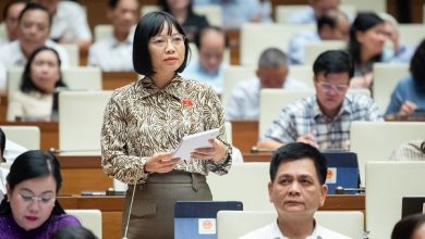 Quỹ Dịch vụ viễn thông công ích cần quy định cụ thể hơn Quỹ Dịch vụ viễn thông công ích cần quy định cụ thể hơn