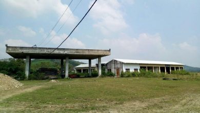 T&T Group hỗ trợ 5 tỷ đồng mở cánh cửa cho học sinh nghèo Hà Tĩnh vào đại học