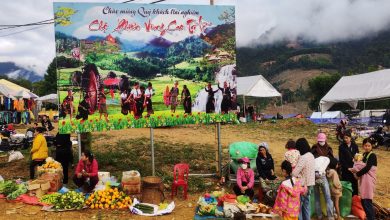 Nghệ An: “Phù phép” chiếm đoạt hơn 57 tỷ đồng tại Khu đô thị Minh Khang