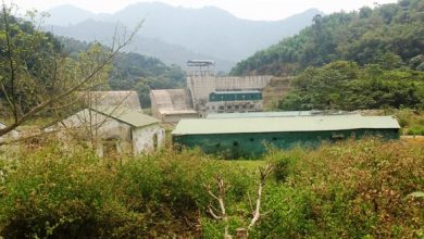 Phía sau thủy điện Suối Choang ở Nghệ An – Bài 1: Chiếm dụng hàng nghìn m2 đất trái phép