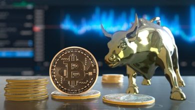 Nhà đầu tư đón chờ cETF bên thềm năm mới