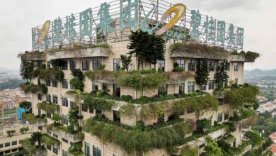 Country Garden sắp "đại phẫu" khi vỡ nợ trái phiếu quốc tế Country Garden sắp "đại phẫu" khi vỡ nợ trái phiếu quốc tế