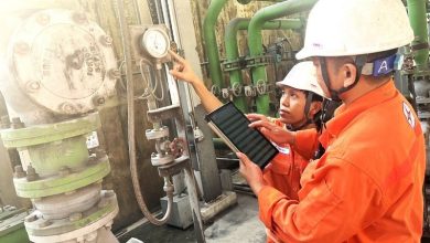 Ngành năng lượng Việt Nam: Nguy cơ tài sản mắc kẹt với biến đổi khí hậu