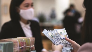 Ngân hàng dự kiến giảm bớt “thắt chặt” tiêu chuẩn tín dụng trong 6 tháng cuối 2023 Ngân hàng dự kiến giảm bớt “thắt chặt” tiêu chuẩn tín dụng trong 6 tháng cuối 2023