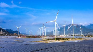 2 doanh nghiệp bất động sản “hái trái ngọt” từ đầu tư năng lượng tái tạo