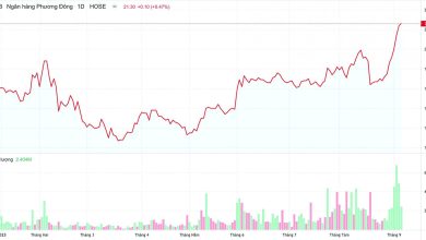 OCB được cấp phép mở mới 9 điểm giao dịch trong năm 2023 OCB được cấp phép mở mới 9 điểm giao dịch trong năm 2023