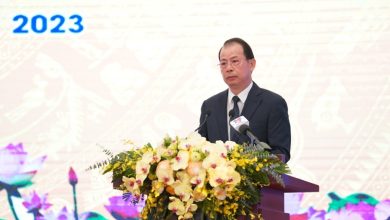 Vì sao Tập đoàn Than và khoáng sản đạt doanh thu kỷ lục? Vì sao Tập đoàn Than và khoáng sản đạt doanh thu kỷ lục?