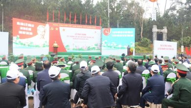 Trồng 3.000 cây xanh hưởng ứng Tết trồng cây đời đời nhớ ơn Bác Hồ Trồng 3.000 cây xanh hưởng ứng Tết trồng cây đời đời nhớ ơn Bác Hồ