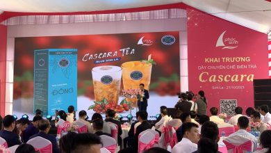 Phúc Sinh khánh thành dây chuyền chế biến Trà Cascara đầu tiên tại Việt Nam Phúc Sinh khánh thành dây chuyền chế biến Trà Cascara đầu tiên tại Việt Nam