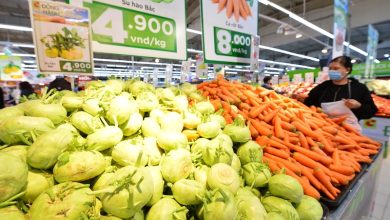 Các thị trường lớn của nông sản Việt phục hồi