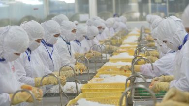 Doanh nghiệp "đói" đơn hàng, xuất khẩu nông, lâm, thuỷ sản "lao dốc”