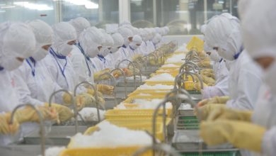 Doanh nghiệp thủy sản "ngóng" phản hồi về bảo hiểm xã hội và PCCC Doanh nghiệp thủy sản "ngóng" phản hồi về bảo hiểm xã hội và PCCC