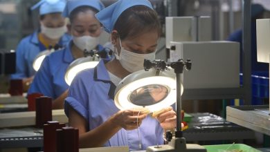 Tăng trưởng GDP quý IV/2023 làm bệ phóng phục hồi vững chắc cho 2024 Tăng trưởng GDP quý IV/2023 làm bệ phóng phục hồi vững chắc cho 2024