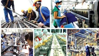 Những xu hướng chính trong năm Quý Mão