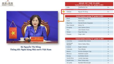 Động lực cho sự thay đổi và khác biệt: Đa dạng giới trong HĐQT doanh nghiệp