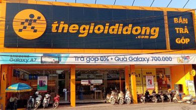 “Gà vàng” chưa đẻ trứng và động thái mới của Thế Giới Di Động “Gà vàng” chưa đẻ trứng và động thái mới của Thế Giới Di Động