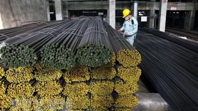 Vì sao "cổ phiếu quốc dân" HPG liên tục hút dòng tiền khối ngoại?