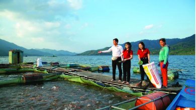 Quan hệ Đối tác Chiến lược Toàn diện Việt - Mỹ: Cơ hội lớn cho ngành xuất khẩu