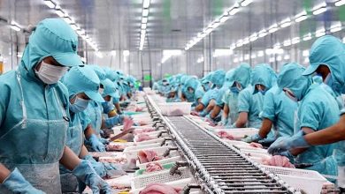 Tháo gỡ khó khăn, vướng mắc cho doanh nghiệp thủy sản trước 25/7 Tháo gỡ khó khăn, vướng mắc cho doanh nghiệp thủy sản trước 25/7