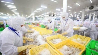 Lâm thuỷ sản “trượt dốc”, xuất khẩu trông chờ vào rau quả