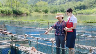 Tài chính xanh và phát triển bền vững (kỳ 1): Kinh nghiệm tại các quốc gia Tài chính xanh và phát triển bền vững (kỳ 1): Kinh nghiệm tại các quốc gia