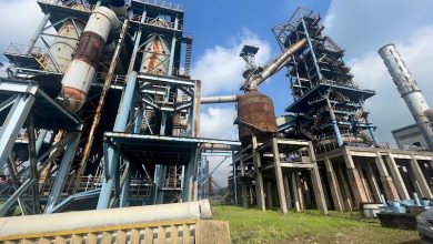 TIS và câu chuyện về dự án “nằm đắp chiếu” 15 năm