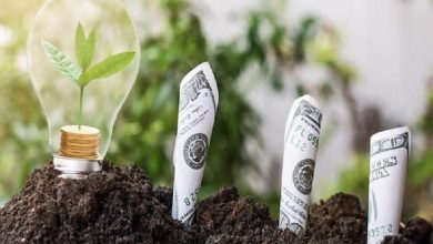 Chuyển dịch kinh tế "nâu" sang "xanh": Cần định chế tài chính chuyên biệt Chuyển dịch kinh tế "nâu" sang "xanh": Cần định chế tài chính chuyên biệt