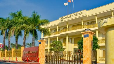 CMX sắp phát hành thêm 300 tỷ đồng trái phiếu CMX sắp phát hành thêm 300 tỷ đồng trái phiếu