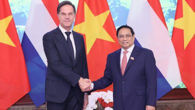 Các doanh nghiệp chip Hà Lan nhắm đến Việt Nam