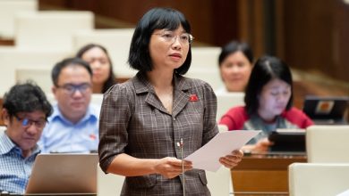 Dự thảo Luật Đất đai (sửa đổi): Quy định về khái niệm chiếm đất chưa rõ ràng