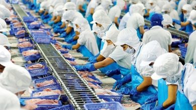 Doanh nghiệp cá tra “vượt sóng”