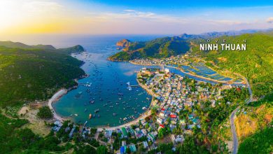 Du lịch Ninh Thuận đẩy mạnh ứng dụng chuyển đổi số Du lịch Ninh Thuận đẩy mạnh ứng dụng chuyển đổi số