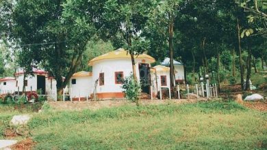 “Xẻ thịt” đất rừng, kinh doanh “trái phép”: Bài 2 – Vì sao khó xử lý vi phạm? “Xẻ thịt” đất rừng, kinh doanh “trái phép”: Bài 2 – Vì sao khó xử lý vi phạm?