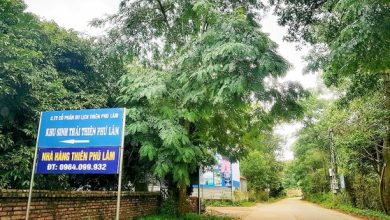 “Xẻ thịt” đất rừng, kinh doanh “trái phép”: Bài 3 – “Lộ” hàng loạt bất cập “Xẻ thịt” đất rừng, kinh doanh “trái phép”: Bài 3 – “Lộ” hàng loạt bất cập