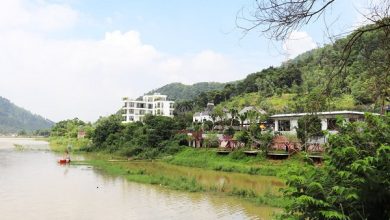 “Xẻ thịt” đất rừng, kinh doanh “trái phép”: Bài cuối – Cần xử lý tận gốc “Xẻ thịt” đất rừng, kinh doanh “trái phép”: Bài cuối – Cần xử lý tận gốc