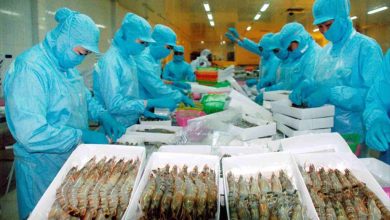 Vua tôm", "nữ hoàng cá tra" và các doanh nghiệp thủy sản đang làm ăn ra sao? Vua tôm", "nữ hoàng cá tra" và các doanh nghiệp thủy sản đang làm ăn ra sao?