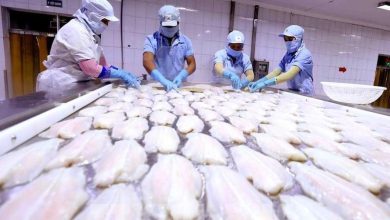 "Gỡ khó" nguyên liệu cho doanh nghiệp hải sản