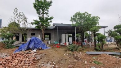 Hải Phòng: Gia hạn thời gian xử lý dứt điểm vi phạm đê điều Hải Phòng: Gia hạn thời gian xử lý dứt điểm vi phạm đê điều